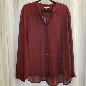 41 Hawthorn Nomini button down blouse